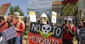 Γαλλία: Απαγορεύεται με νόμο ο σπόρος της Monsanto